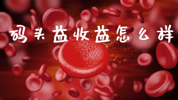 码头益收益怎么样_https://www.apanben.com_国际财经_第1张