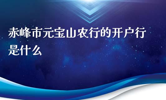 赤峰市元宝山农行的开户行是什么_https://www.apanben.com_财经资讯_第1张