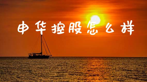 申华控股怎么样_https://www.apanben.com_股市分析_第1张