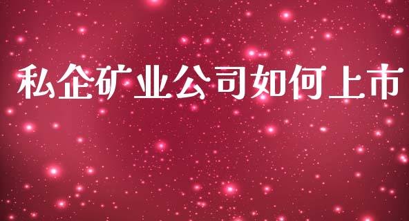 私企矿业公司如何上市_https://www.apanben.com_国际财经_第1张