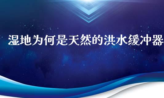 湿地为何是天然的洪水缓冲器_https://www.apanben.com_财经资讯_第1张
