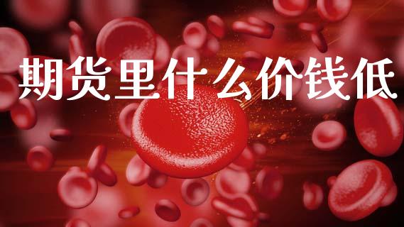 期货里什么价钱低_https://www.apanben.com_在线喊单_第1张