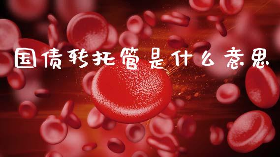国债转托管是什么意思_https://www.apanben.com_财经资讯_第1张