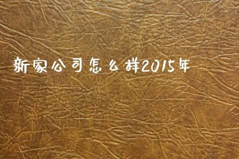 新家公司怎么样2015年_https://www.apanben.com_股市指导_第1张