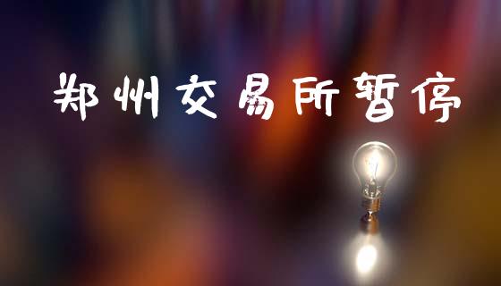 郑州交易所暂停_https://www.apanben.com_股票怎么玩_第1张