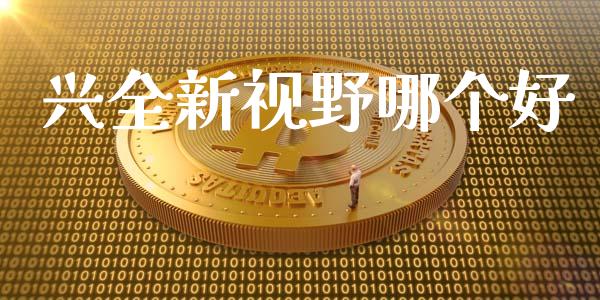 兴全新视野哪个好_https://www.apanben.com_国际期货_第1张