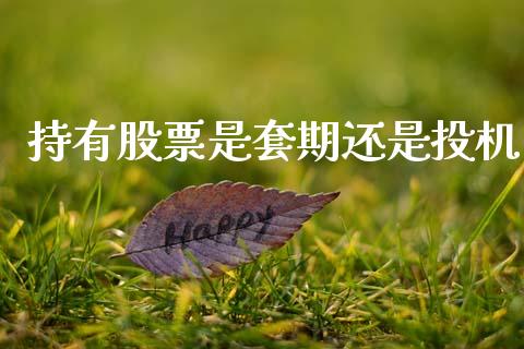 持有股票是套期还是投机_https://www.apanben.com_财经资讯_第1张