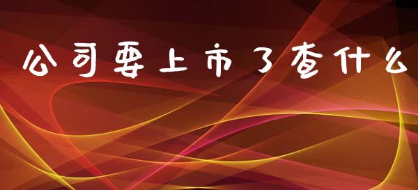 公司要上市了查什么_https://www.apanben.com_股市指导_第1张