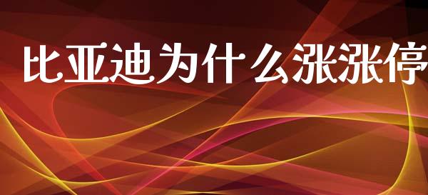 比亚迪为什么涨涨停_https://www.apanben.com_期货学院_第1张