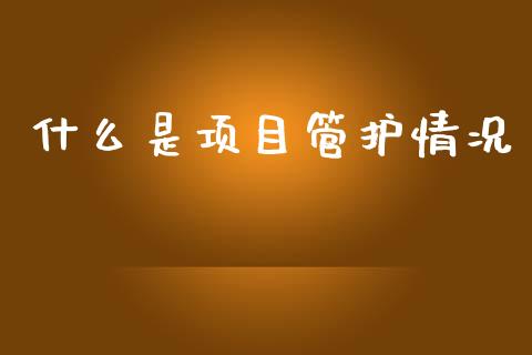 什么是项目管护情况_https://www.apanben.com_股市分析_第1张