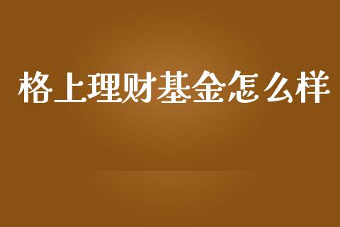 格上理财基金怎么样_https://www.apanben.com_国际财经_第1张