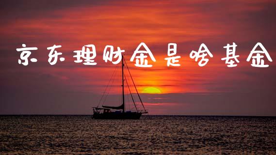 京东理财金是啥基金_https://www.apanben.com_财经资讯_第1张