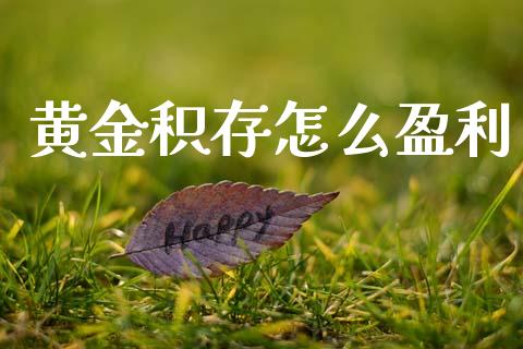 黄金积存怎么盈利_https://www.apanben.com_国际财经_第1张