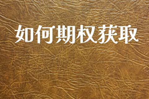 如何期权获取_https://www.apanben.com_股票怎么玩_第1张