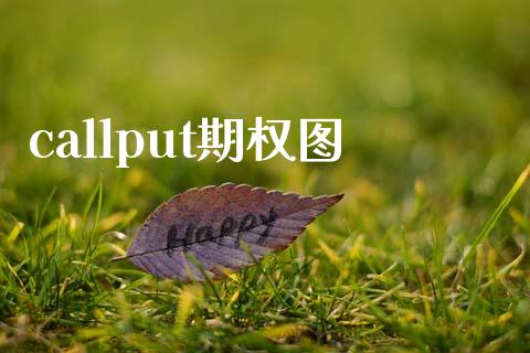 callput期权图_https://www.apanben.com_期货学院_第1张