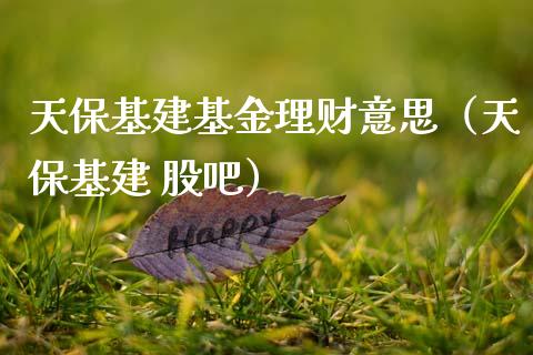 天保基建基金理财意思（天保基建 股吧）_https://www.apanben.com_国际财经_第1张