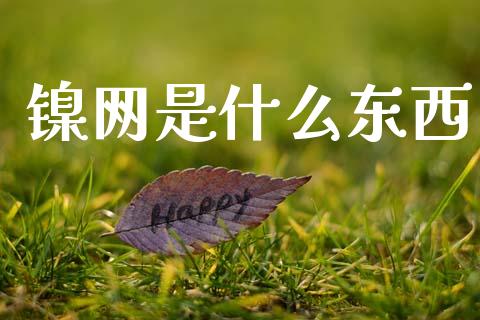 镍网是什么东西_https://www.apanben.com_股票怎么玩_第1张