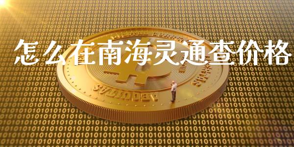 怎么在南海灵通查价格_https://www.apanben.com_在线喊单_第1张