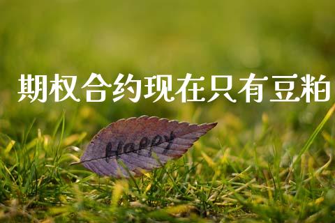 期权合约现在只有豆粕_https://www.apanben.com_股票怎么玩_第1张