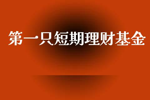 第一只短期理财基金_https://www.apanben.com_国际财经_第1张
