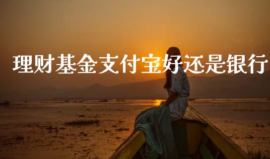 理财基金支付宝好还是银行_https://www.apanben.com_国际财经_第1张