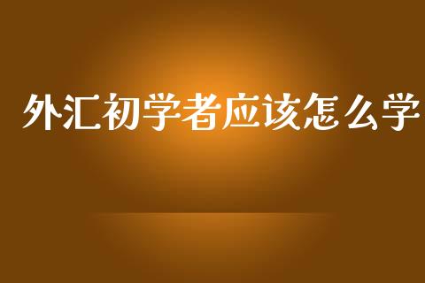 外汇初学者应该怎么学_https://www.apanben.com_国际财经_第1张