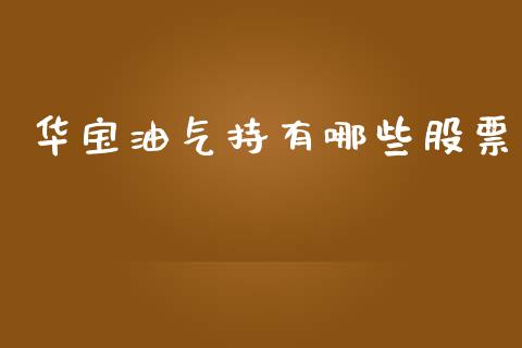 华宝油气持有哪些股票_https://www.apanben.com_股市指导_第1张