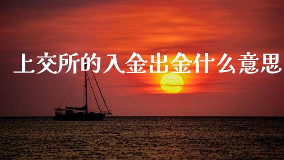 上交所的入金出金什么意思_https://www.apanben.com_股市分析_第1张