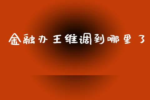 金融办王维调到哪里了_https://www.apanben.com_股市分析_第1张