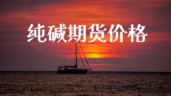 纯碱期货价格_https://www.apanben.com_股市分析_第1张