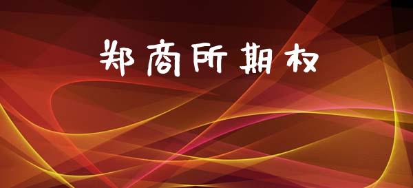郑商所期权_https://www.apanben.com_期货学院_第1张