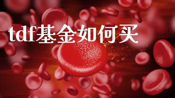 tdf基金如何买_https://www.apanben.com_股票怎么玩_第1张