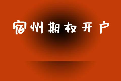 宿州期权开户_https://www.apanben.com_财经资讯_第1张