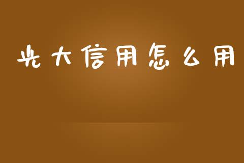 光大信用怎么用_https://www.apanben.com_财经资讯_第1张