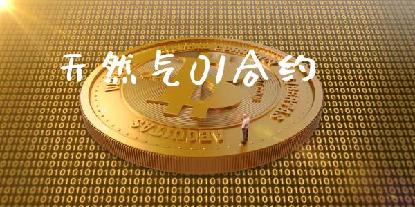 天然气01合约_https://www.apanben.com_股票怎么玩_第1张