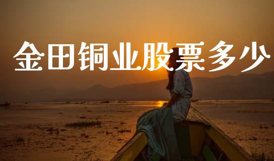 金田铜业股票多少_https://www.apanben.com_国际期货_第1张