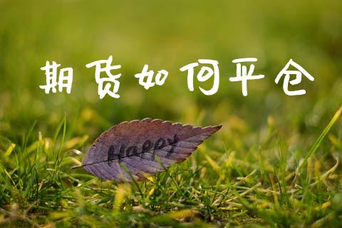 期货如何平仓_https://www.apanben.com_期货学院_第1张