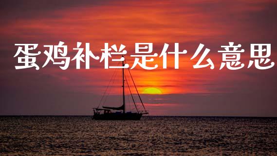 蛋鸡补栏是什么意思_https://www.apanben.com_股市指导_第1张