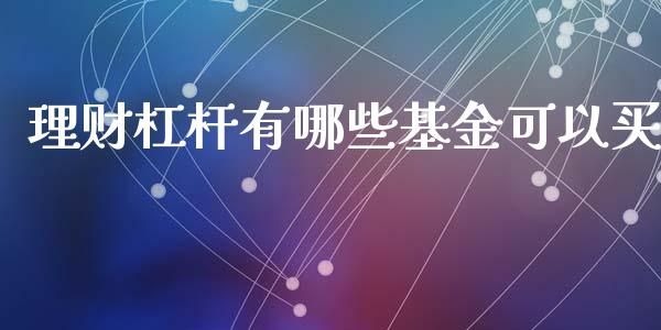理财杠杆有哪些基金可以买_https://www.apanben.com_国际财经_第1张
