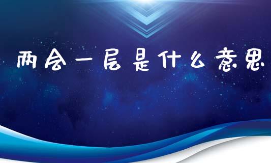 两会一层是什么意思_https://www.apanben.com_股票怎么玩_第1张