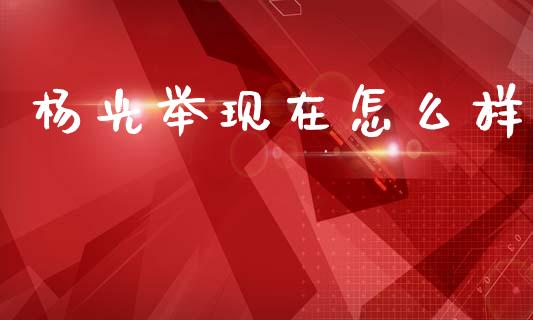 杨光举现在怎么样_https://www.apanben.com_国际财经_第1张