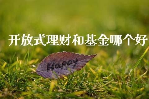 开放式理财和基金哪个好_https://www.apanben.com_国际财经_第1张