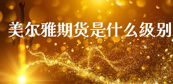 美尔雅期货是什么级别_https://www.apanben.com_国际财经_第1张