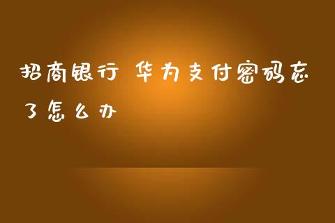 招商银行 华为支付密码忘了怎么办_https://www.apanben.com_股票怎么玩_第1张