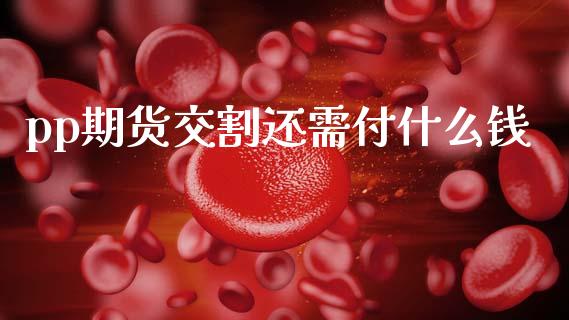 pp期货交割还需付什么钱_https://www.apanben.com_股市分析_第1张