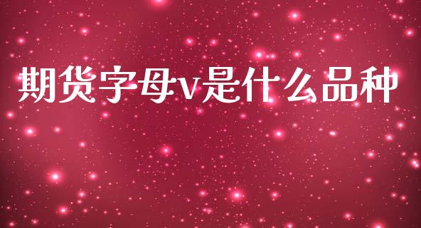 期货字母v是什么品种_https://www.apanben.com_财经资讯_第1张
