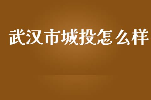武汉市城投怎么样_https://www.apanben.com_国际财经_第1张
