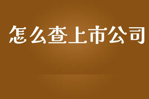 怎么查上市公司_https://www.apanben.com_股市指导_第1张