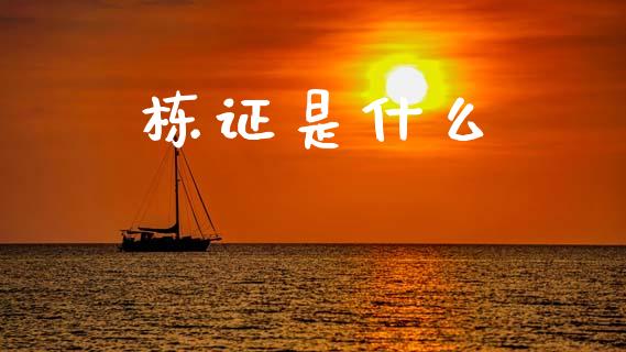 栋证是什么_https://www.apanben.com_国际期货_第1张