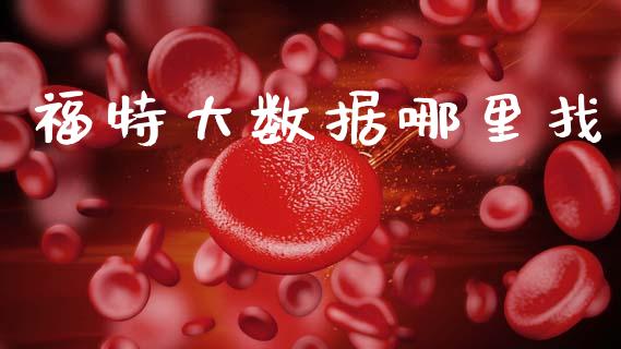 福特大数据哪里找_https://www.apanben.com_国际期货_第1张